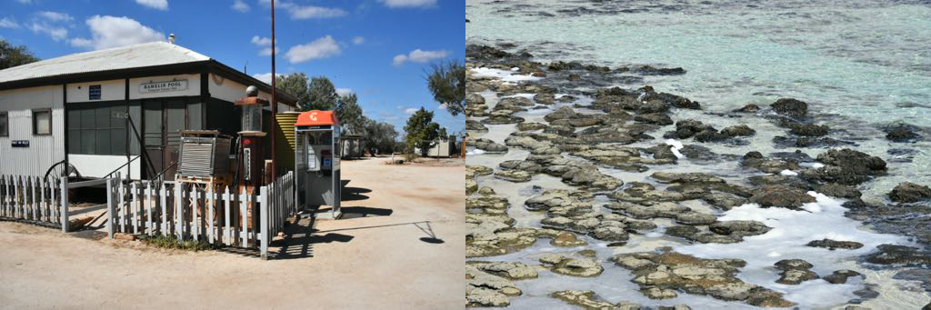 The telegraph station at Hamelin. The Stromatolites at the Hamelin Beach.