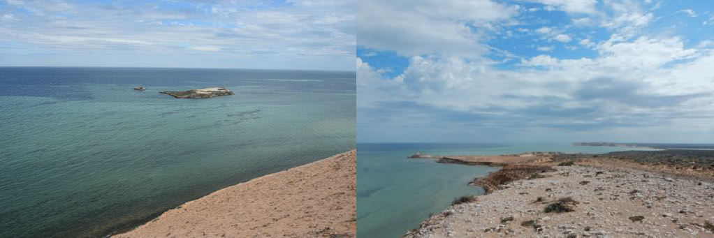 Eagle Island in Shark Bay. View north. Photo taken at a few degrees south of the topic of Capricorn, i.e. 22.5 degrees south.