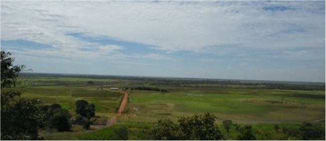 From the lookout of the window to wetlands.