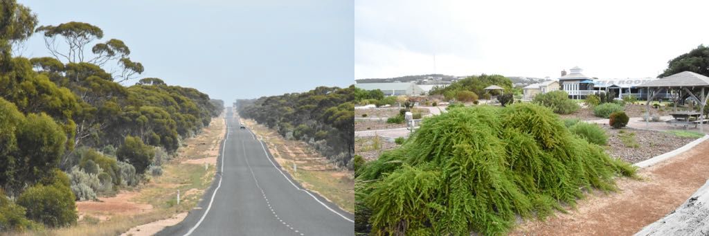 A part of the 90 mile straight. Harbour gardens and the Esperance Yacht Club WA.