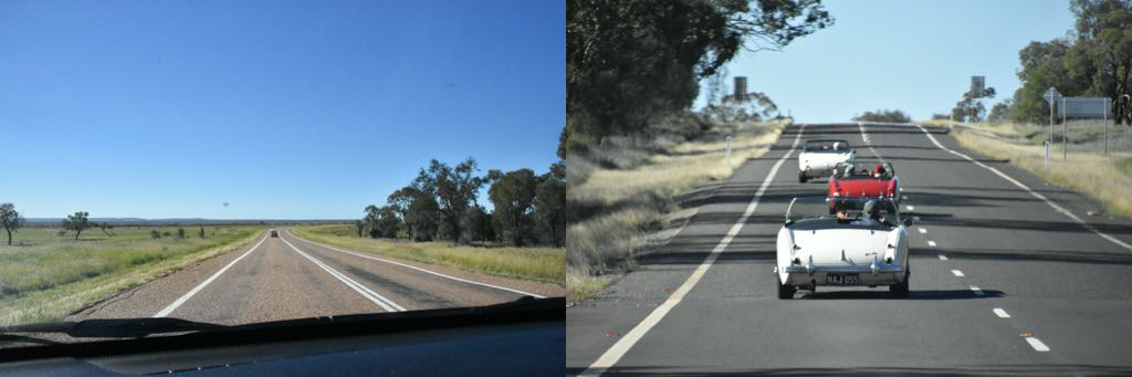 Trees and open mixed landscape - no dull 700 km. The last day we will see the back of these three cars.