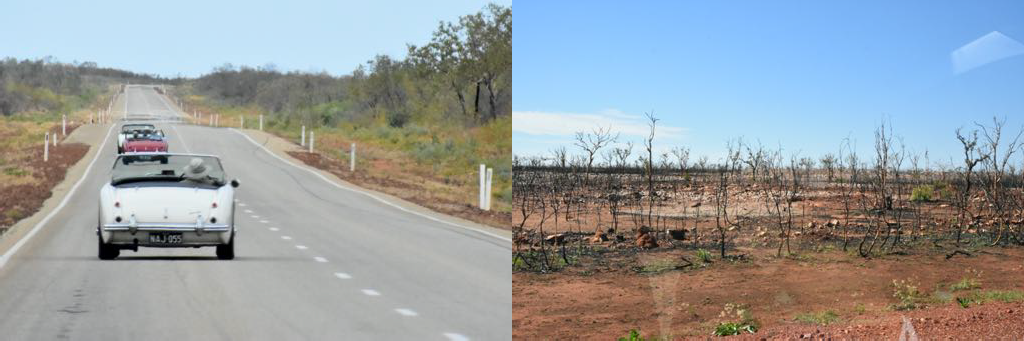Driving 400 km in one day - not much traffic. Burnt areas occurred some bigger. The landscape was always shifting.